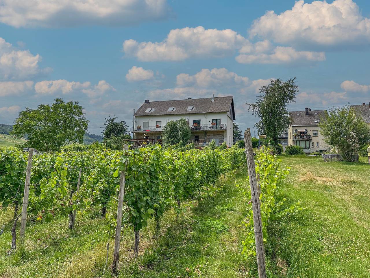 Geheel appartement, Logeer bij de wijnboer direct aan de Moezel in Trittenheim, Moseleifel