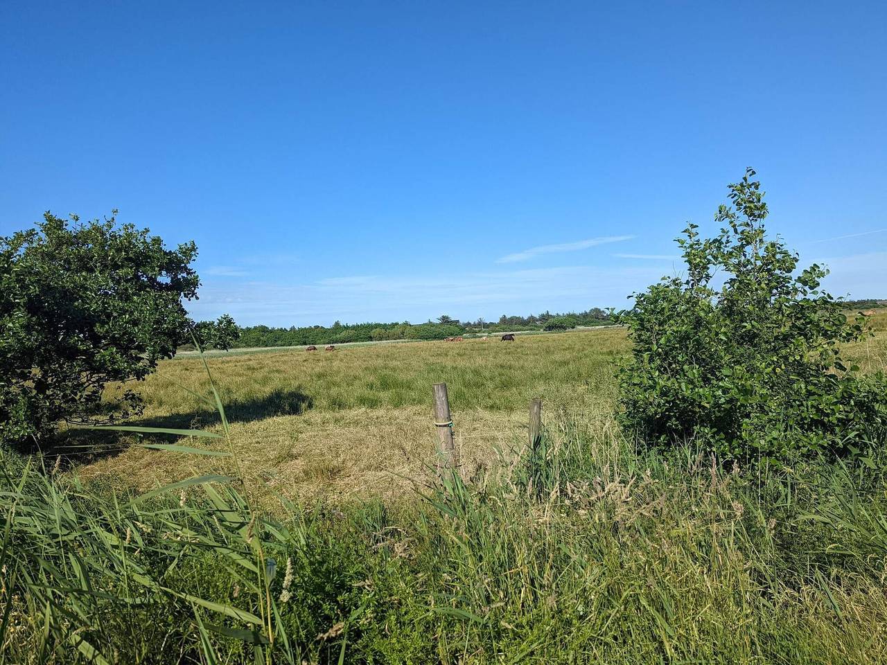 Gemutliches Strandrefugium in Blavand in Blavand, Varde