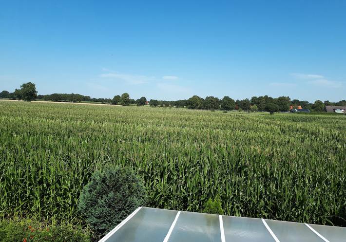 Ferienwohnung für 5 Personen, mit Terrasse, kinderfreundlich in Ihlow - 4