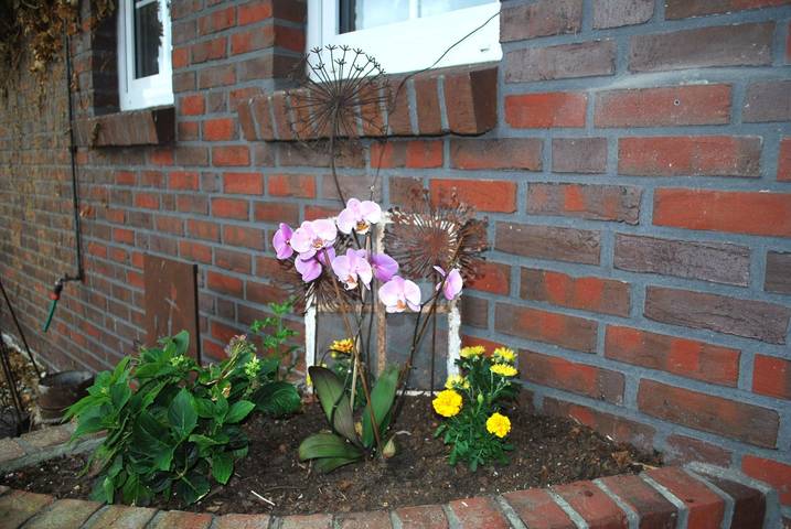 Ferienwohnung für 4 Personen, mit Garten und Terrasse in Wangerland - 4