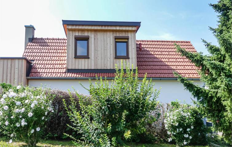 Ferienhaus für 4 Personen, mit Terrasse und Garten in der Oststeiermark - 3