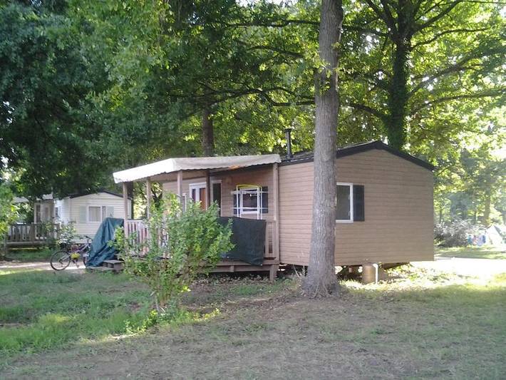 Mobil home pour 5 personnes à Le Buisson-de-Cadouin - 3