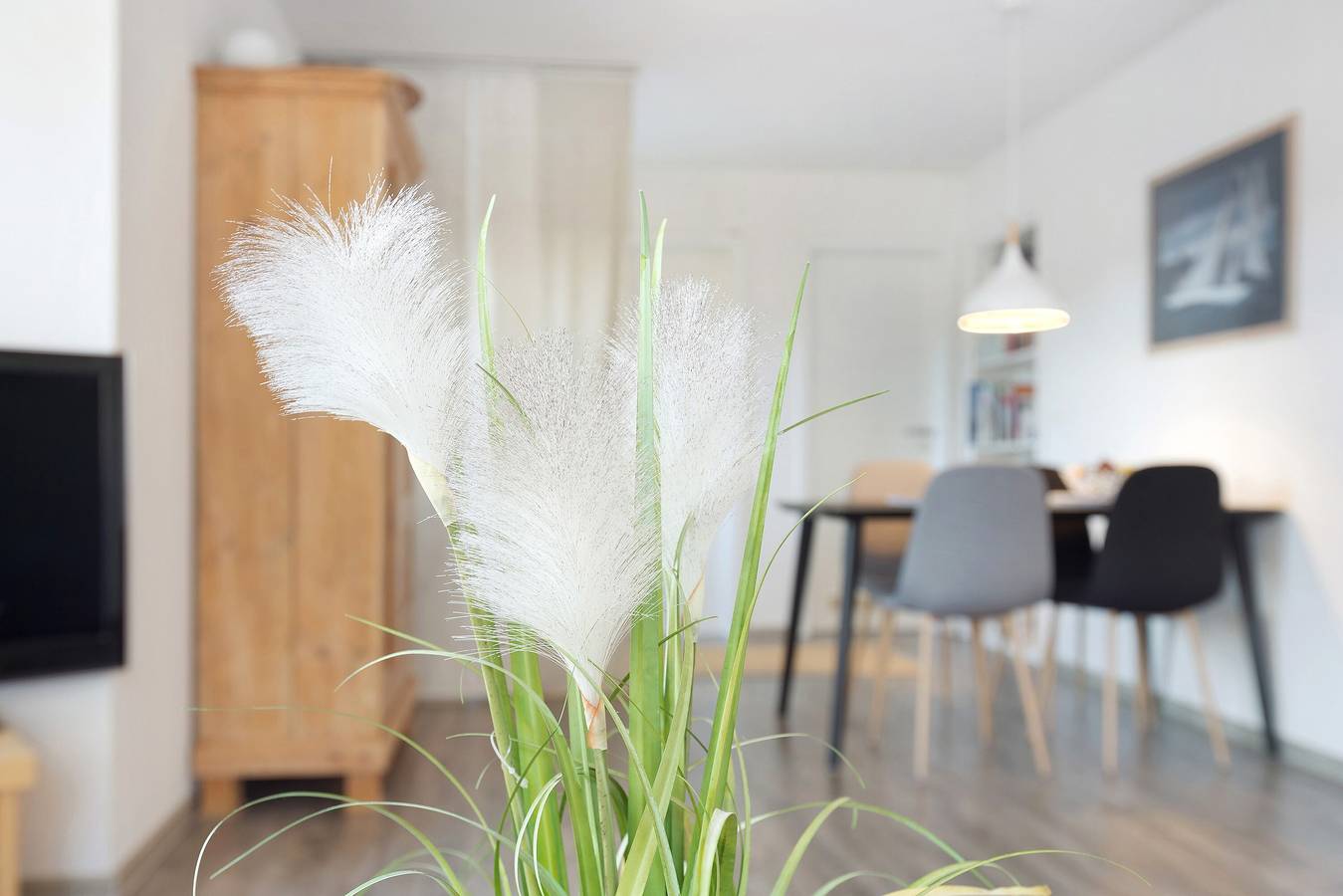 Ganze Wohnung, Apartment 'Im Laubgarten' mit Seeblick, privater Terrasse und Wlan in Öhningen, Untersee