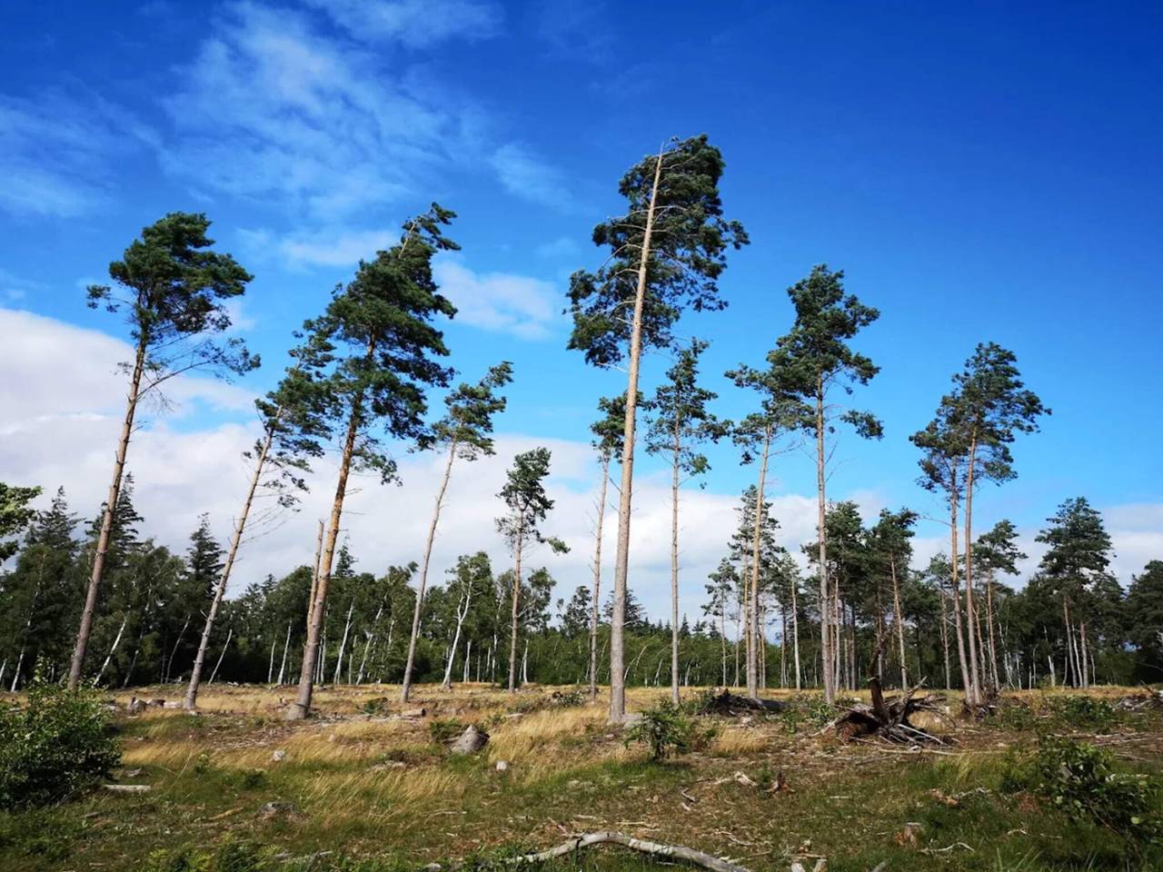 12 Personen Ferienhaus in Væggerløse in Væggerløse, Schwedische Ostsee