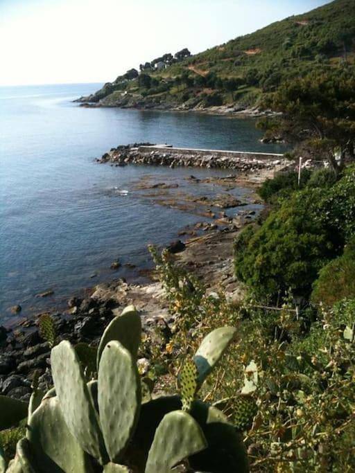 Location de vacances pour 4 personnes, avec terrasse et vue à Cagnano - 2