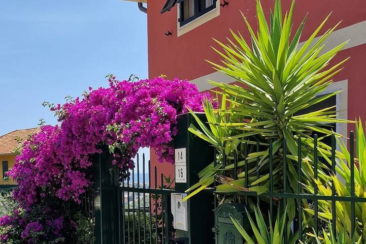 Location de vacances pour 15 personnes, avec Jardin à Leivi