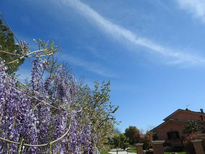 Gîte pour 5 personnes, avec vue et jardin à Fara in Sabina - 4