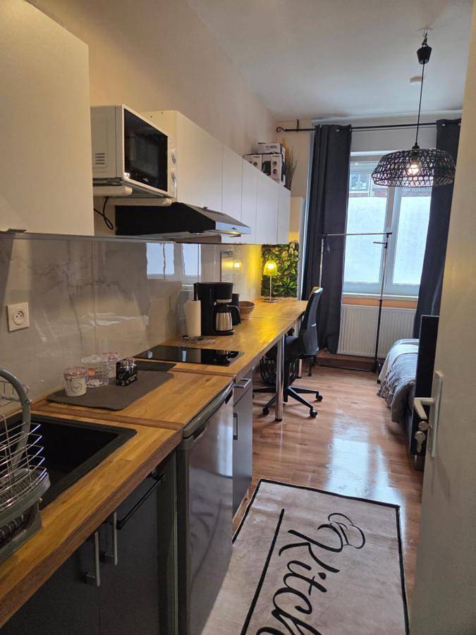 Maison d’hôte pour 2 personnes, avec terrasse et jardin à Roubaix - 3