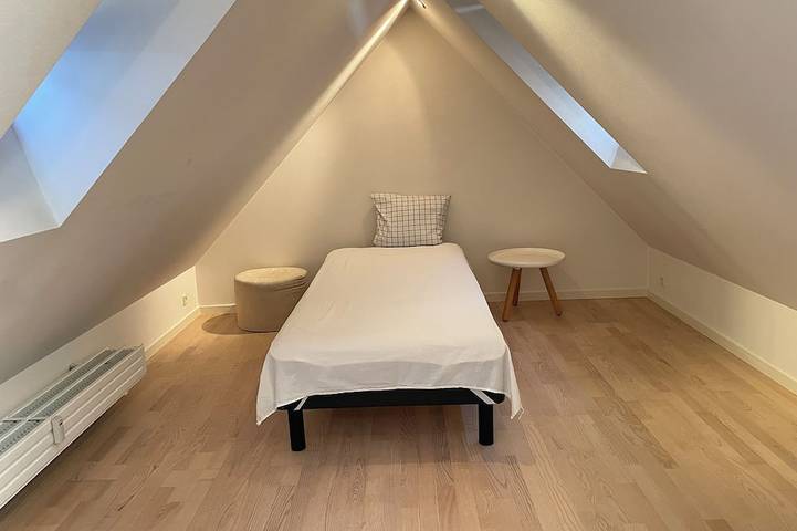 Ganze Wohnung, Gemütliche und geräumige Wohnung nahe öffentlichem Verkehr und Einkaufsmöglichkeiten. in Kopenhagen, Hovedstaden