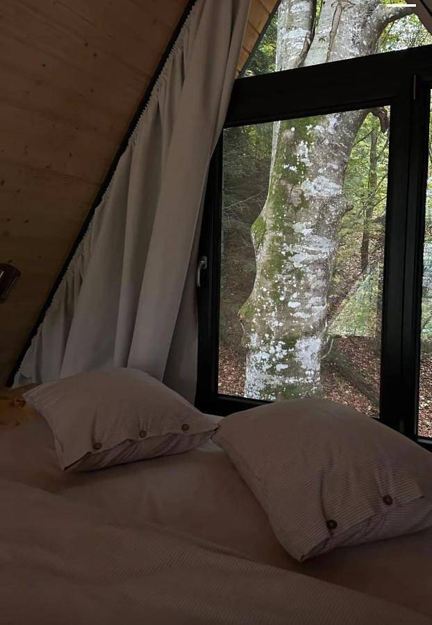 Casa rural para 6 personas, con Terraza y Jardín en Alcabón - 4