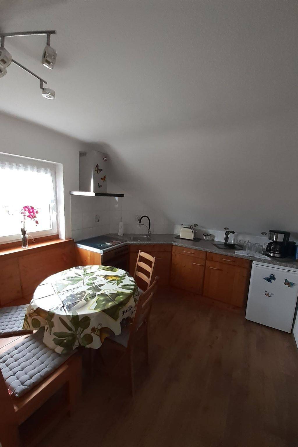 Ganze Wohnung, Fewo Zur Alten Drechslerei in Freital, Sächsisches Elbland