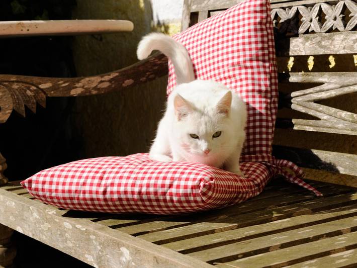 Ferienwohnung für 2 Personen, mit Garten in Landkreis Rosenheim - 4
