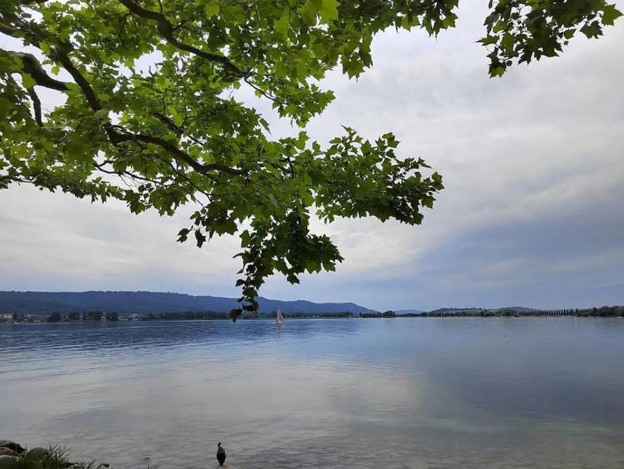 Ganze Ferienwohnung, Bodensee-Haus Istayunixi Seenähe-Terrasse-Garten-Netflix-Parkplatz - Ferienwohnung mit 155qm, 4 Schlafzimmer, max. für 8 Personen in Radolfzell, Radolfzell am Bodensee