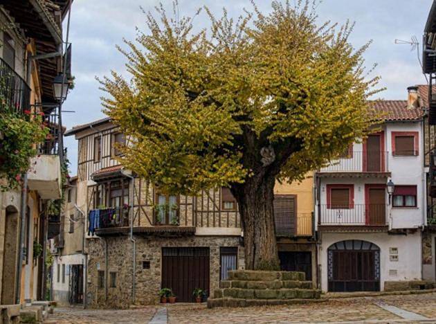 Apartamento para 6 personas, con Balcón y Vistas en Parque Natural de Las Batuecas - Sierra de Francia