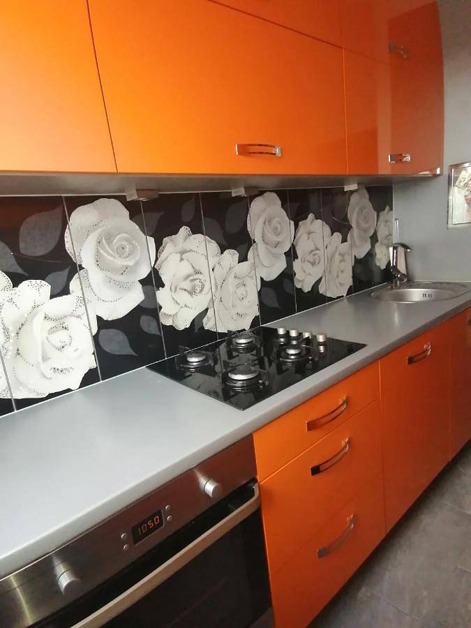 Cały apartament, Apartament Arena in Zgorzelec, Dolny Śląsk