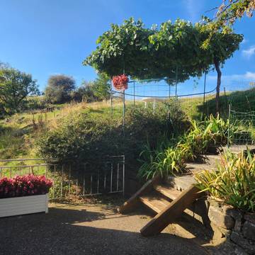 Cottage for 5 People in Le Castellard-Mélan, Provence, Photo 1