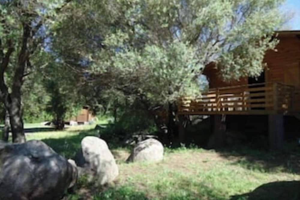 The Tinutella 1, the Tinutella in Abbartello, Olmeto