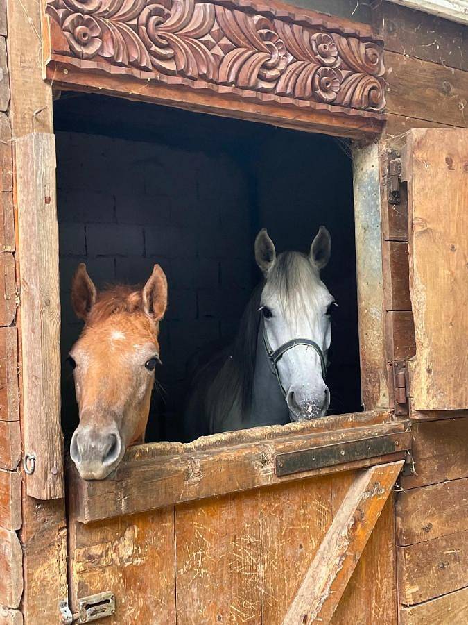 Maison d’hôte pour 2 personnes, avec vue ainsi que jardin et balcon à Sofia - 2