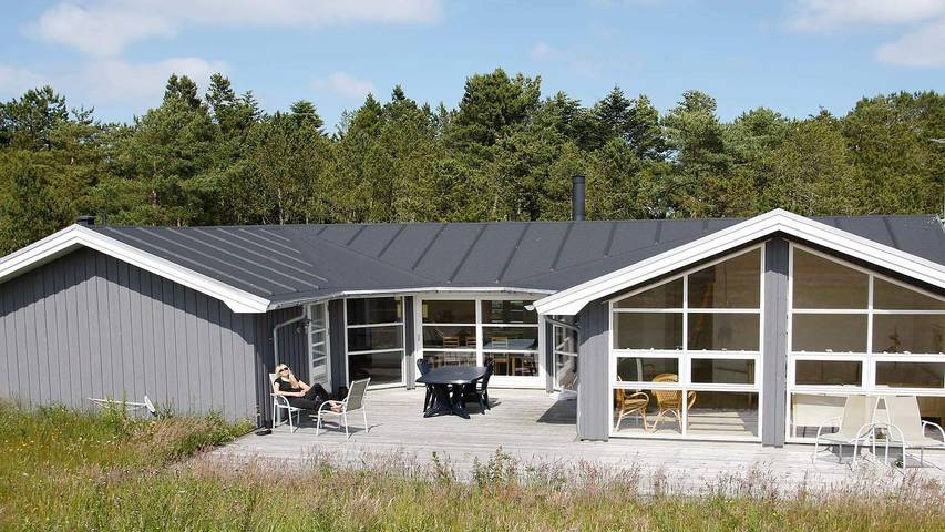 Vacation rental for 8 people, with hot tub and sauna as well as terrace, with pets in Denmark