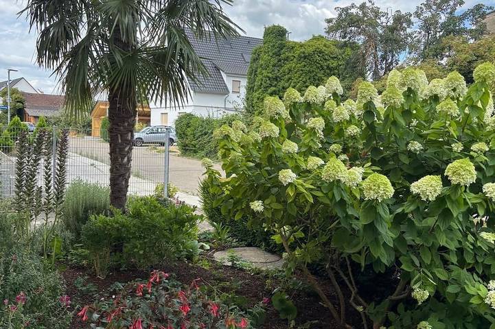 Ganze Wohnung, Helle neue Wohnung, Pool+ Garten, Grillen + Chillen; Europapark, Rad+ Wandern in Endingen - Königschaffhausen, Endingen