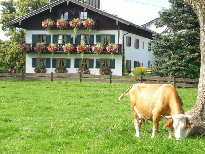 Ferienhaus für 3 Personen, mit Balkon und Terrasse sowie Garten und Ausblick am Tegernsee - 3