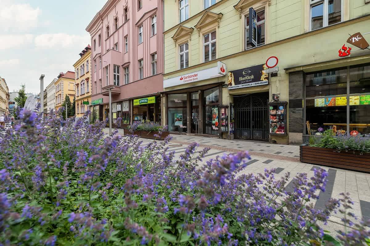 Ganze Wohnung, Cozy Studio in the Center | 300 m from the railway station in Beuthen, Schlesien