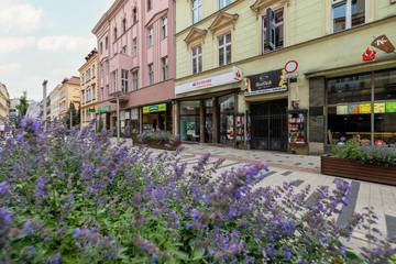 Apartament Wakacyjny dla 2 osoby w Bytom, Śląsk, Zdjęcie 2