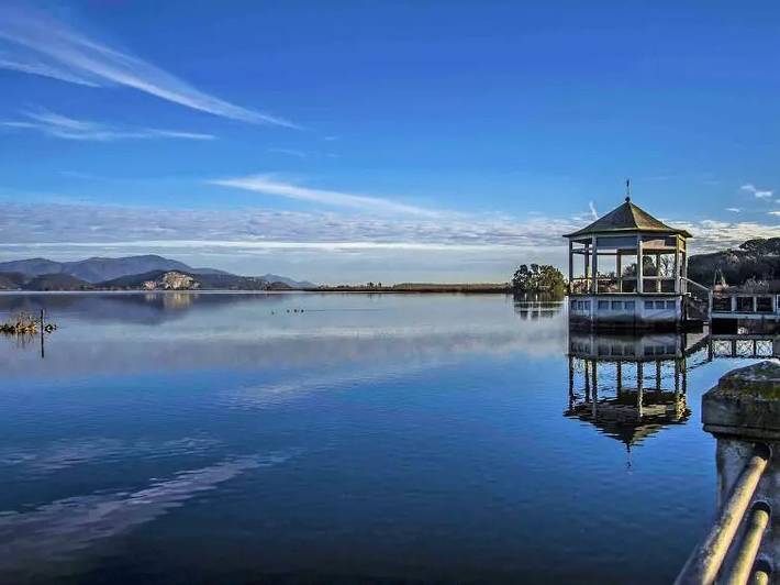 Villa per 7 persone, con giardino a Viareggio