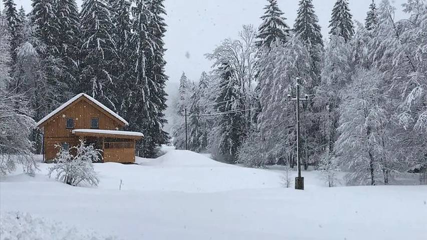 Ferienhaus für 8 Personen, mit Garten - 1