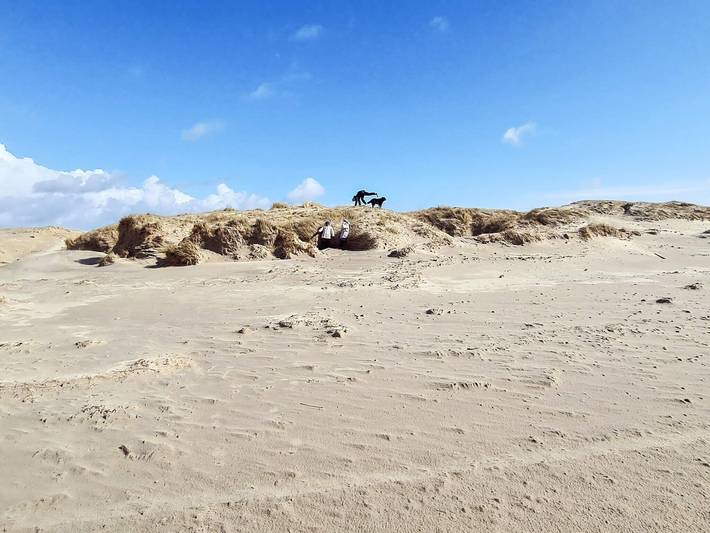 Ferienhaus für 4 Personen, mit Pool und Sauna sowie Balkon, kinderfreundlich in Fanø Bad - 4