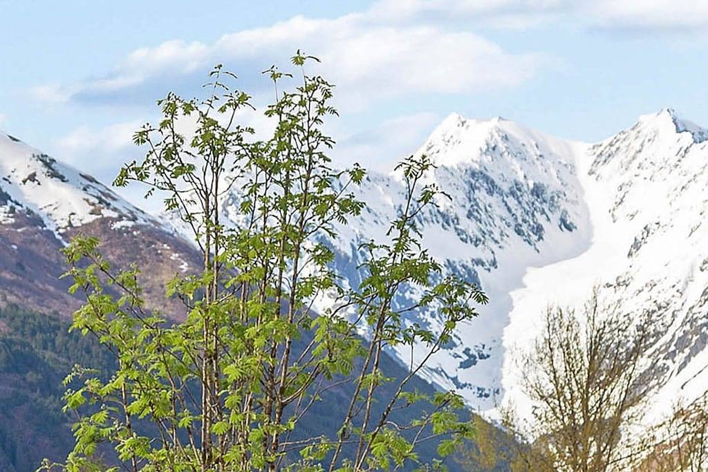 Ganze Wohnung, Eigentumswohnung in der Nähe von Wandern, Stadt, gemeinsame Sauna, private Terrasse mit herrlicher Aussicht in Girdwood, Anchorage