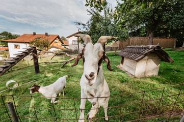 Bauernhof für 4 Personen in Bad Birnbach, Niederbayern, Bild 3