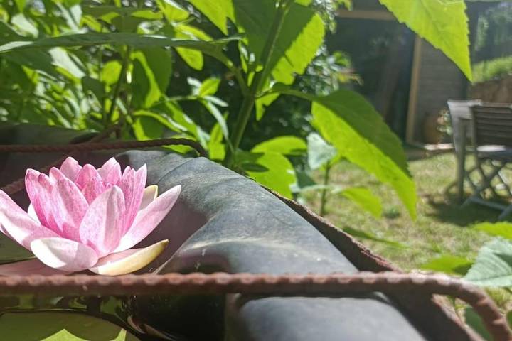 Gîte pour 2 personnes, avec jardin à Fabras - 4