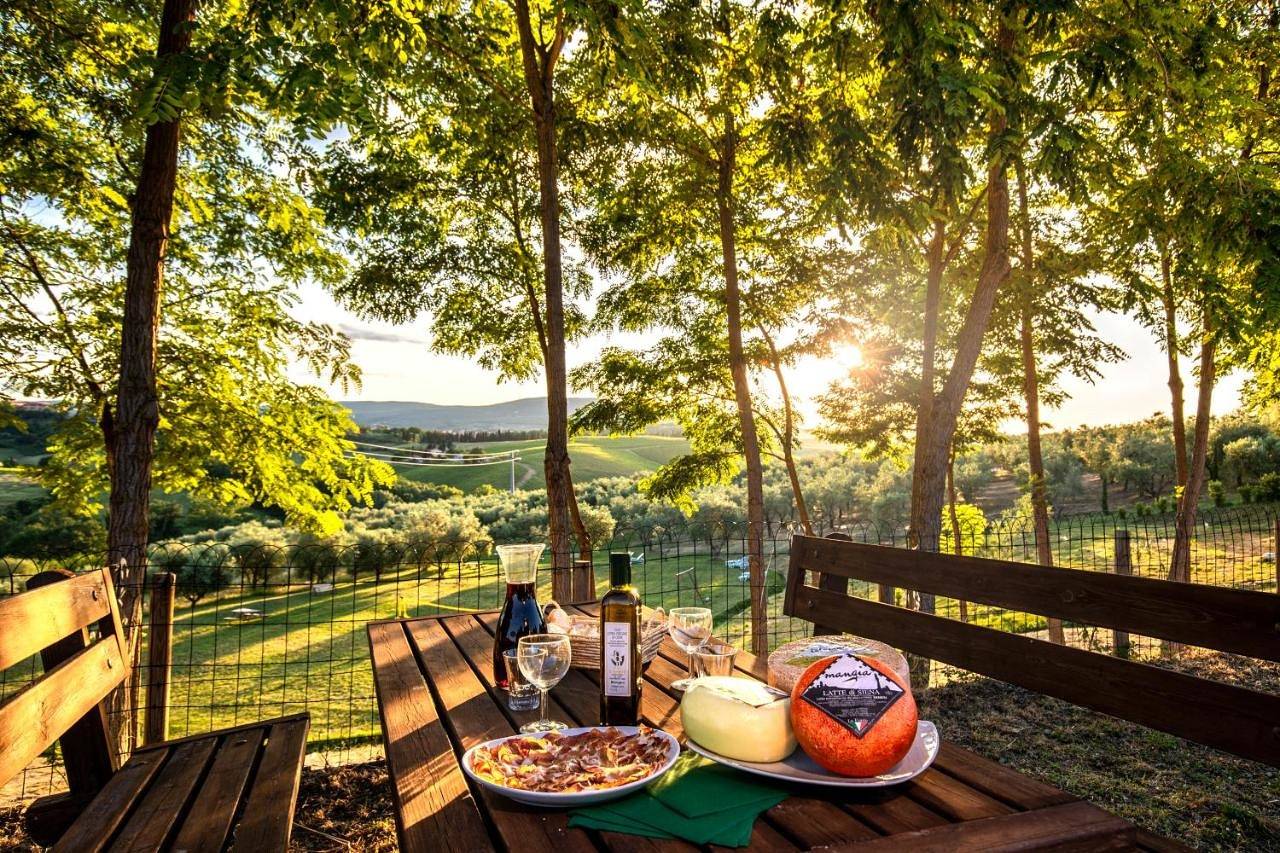 Agriturismo Il Sambuco in Monteriggioni, Chianti