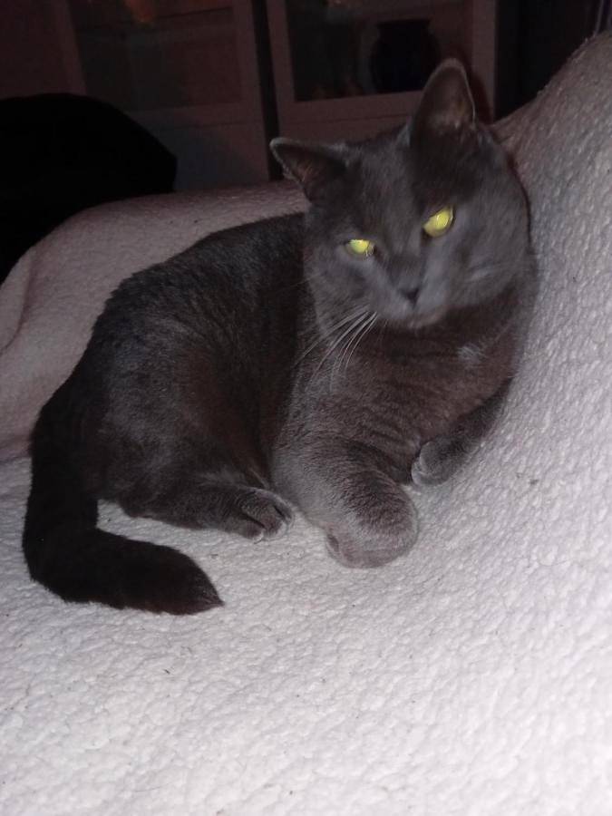 Location de vacances pour 2 personnes, avec terrasse ainsi que jardin et piscine à Saint-Georges-sur-Cher - 2