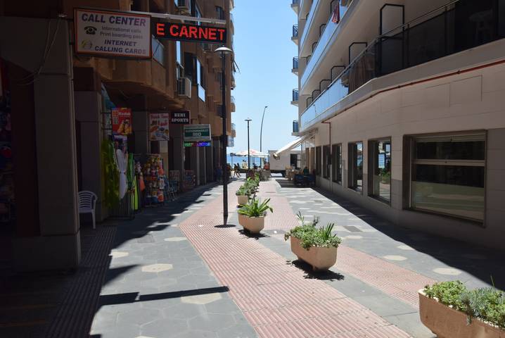 Estudio entero, Marconi 1-4 (Estudio) in Benidorm, Costa Blanca