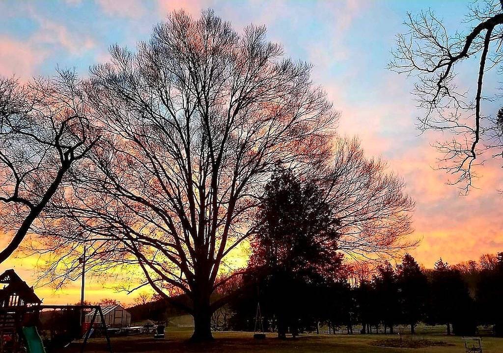 Cottage on quiet farm close to town and wineries in Albemarle County