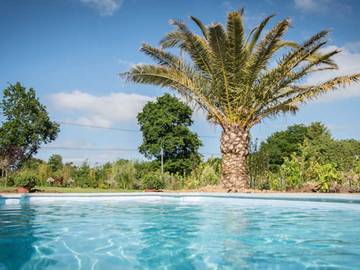 Location De Vacances pour 2 Personnes dans Sottevast, Cotentin, Photo 4