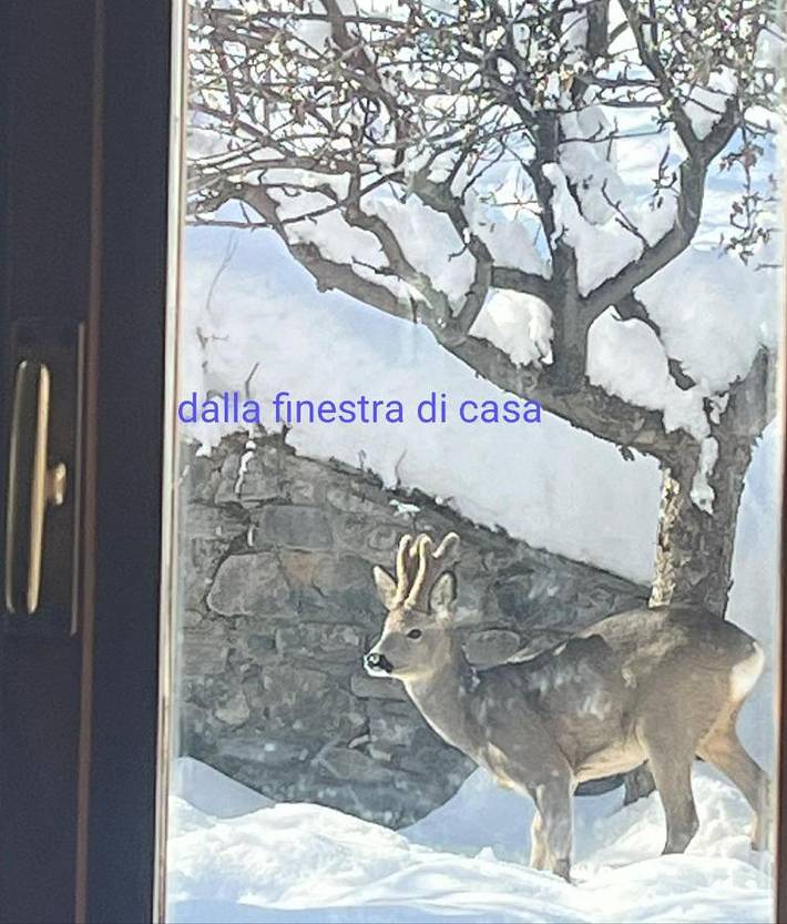 Gîte pour 3 personnes, avec jardin ainsi que vue et terrasse à Cesana Torinese - 2