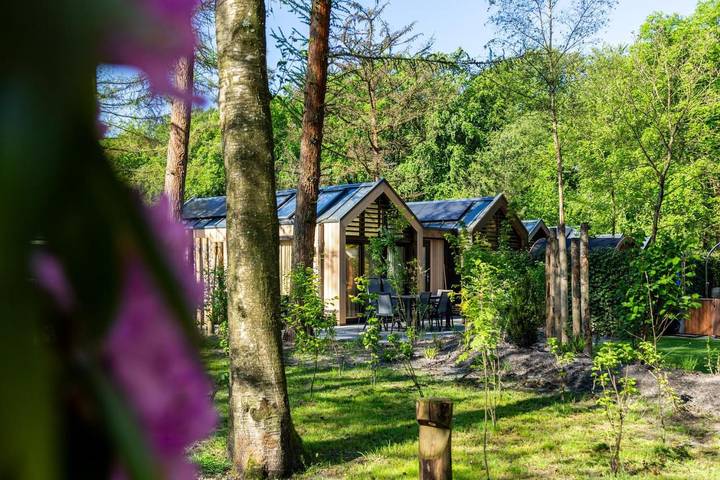 Parc de vacances pour 4 personnes, avec vue et jardin ainsi que terrasse et piscine, animaux acceptés dans Bilthoven