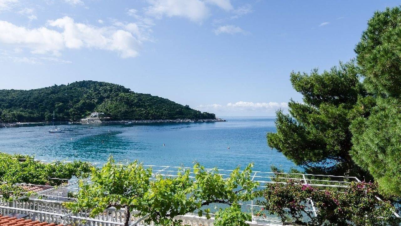 Ganze Ferienwohnung, Ferienwohnung für 2 Personen (35 m²) in Saplunara in Mljet