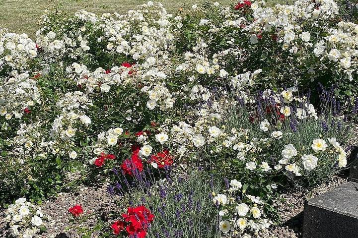 Ferienhaus für 6 Personen, mit Garten