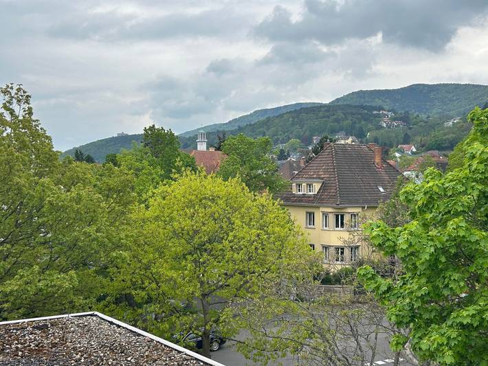 Ferienwohnung für 2 Personen, mit Balkon in Neustadt an der Weinstraße - 4