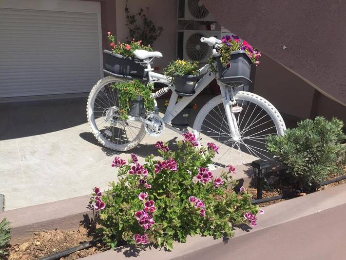 Gîte pour 6 personnes, avec jardin, animaux acceptés dans Palekastron - 3