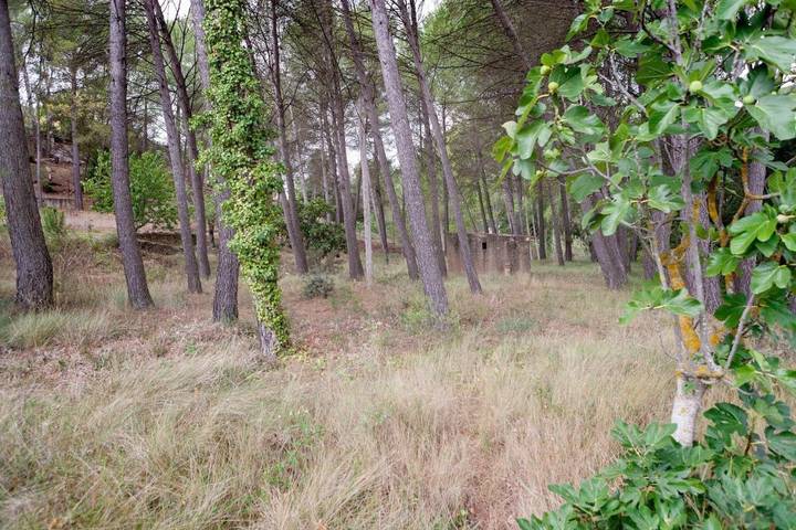 Casa de vacaciones para 14 personas, con jardín además de vistas y piscina en Hoya de Buñol - 4