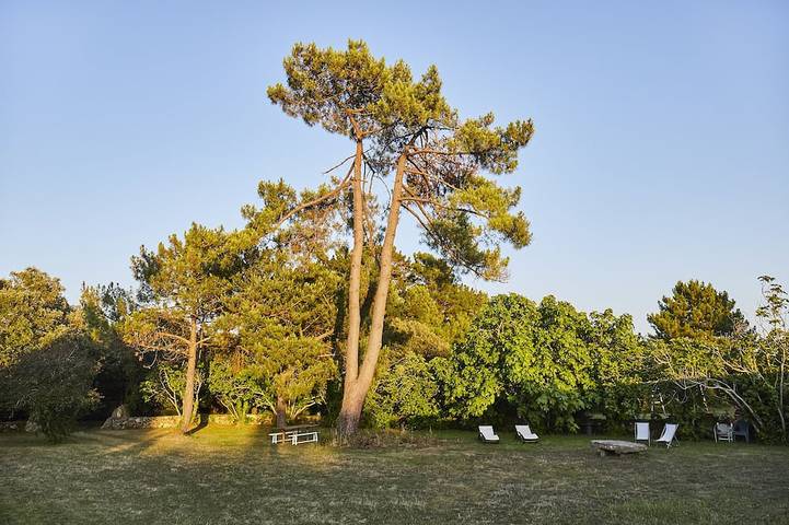 Location de vacances pour 2 personnes, avec jardin à l' Île d'Yeu - 3