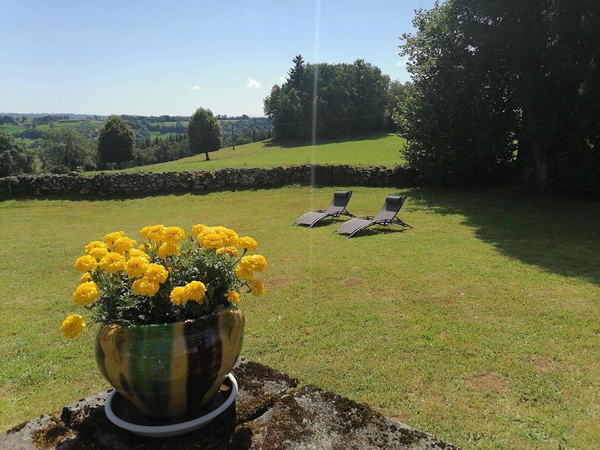 Gîte du Bosquet Pays de Salers Cantal in Sainte-Eulalie (Cantal), Région de Mauriac