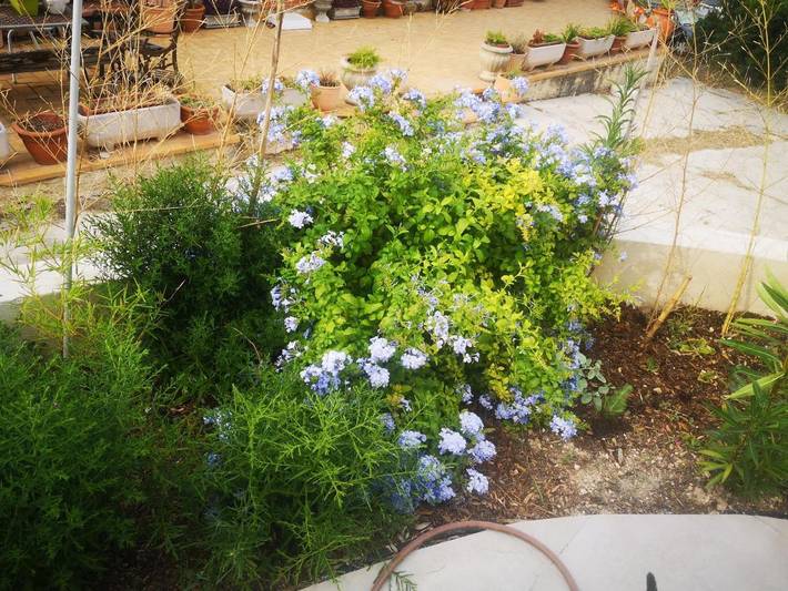 Gîte pour 3 personnes, avec terrasse à Les Pennes-Mirabeau - 4