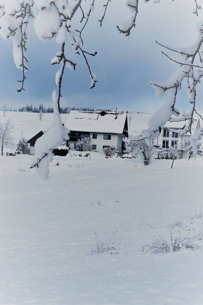 Bauernhof für 4 Personen, mit Garten und Terrasse, mit Haustier in Titisee-Neustadt