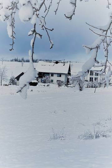 Bauernhof für 4 Personen, mit Garten und Terrasse, mit Haustier in Titisee-Neustadt
